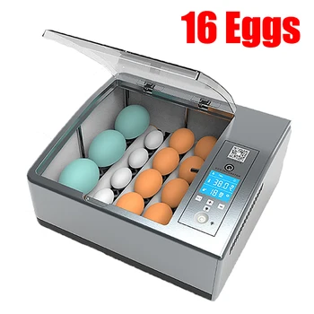 За Инкубация на Пъдпъдъци Дисплей една квачка Инструменти за птиците 16 Яйца от Инкубатор За Пилета Автоматично Инкубаторий Обзавеждане за инкубация на гъски